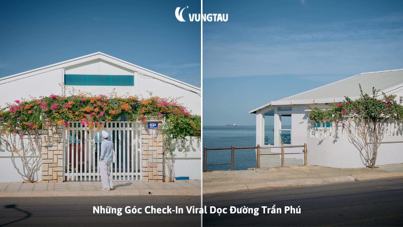 Những Góc Check-In Viral Dọc Đường Trần Phú