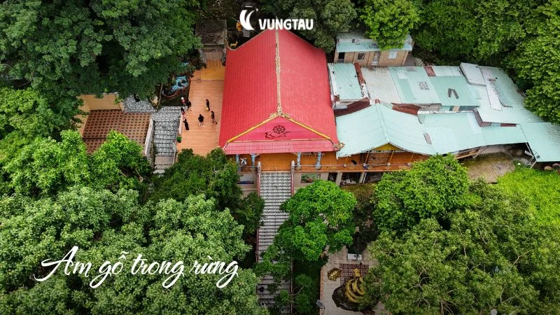 Am gỗ trong rừng