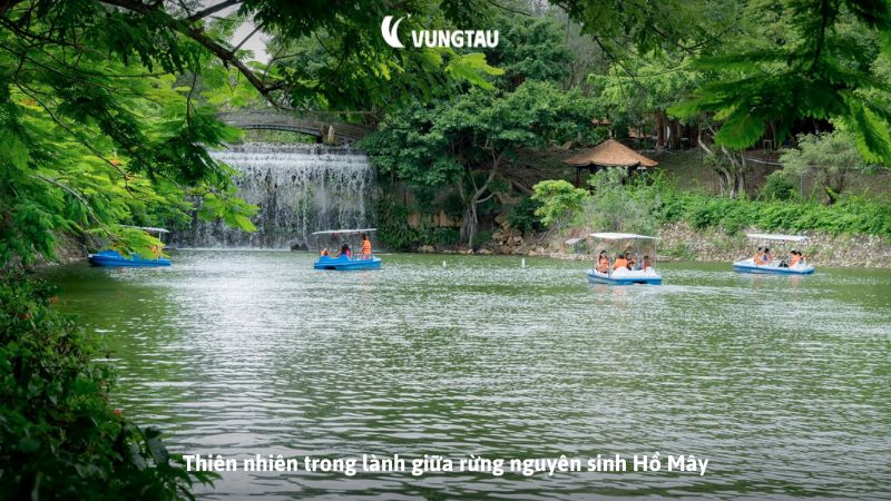 Thiên nhiên trong lành giữa rừng nguyên sinh Hồ Mây