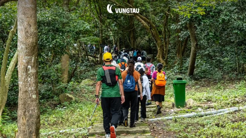 Lối mòn xuyên rừng già trên đường lên núi Minh Đạm