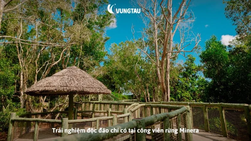 Trải nghiệm độc đáo chỉ có tại công viên rừng Minera