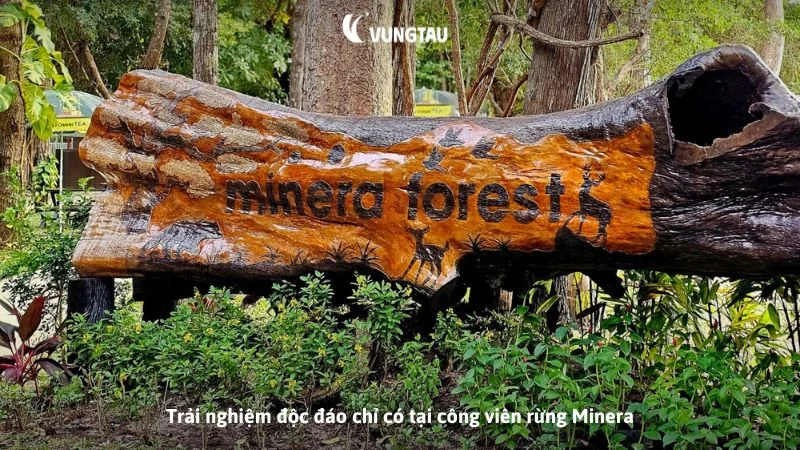 Trải nghiệm độc đáo chỉ có tại công viên rừng Minera