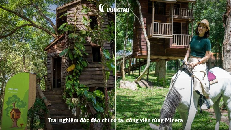 Trải nghiệm độc đáo chỉ có tại công viên rừng Minera