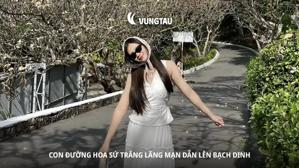 Con đường hoa sứ trắng lãng mạn dẫn lên Bạch Dinh