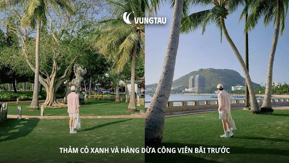 Thảm cỏ xanh và hàng dừa công viên Bãi Trước