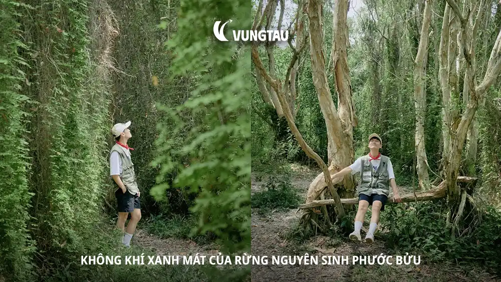 Không khí xanh mát của rừng nguyên sinh Phước Bửu