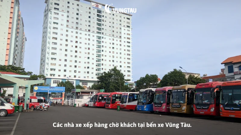 Các nhà xe xếp hàng chờ khách tại bến xe Vũng Tàu.