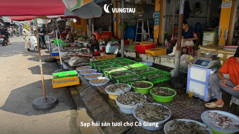 Sạp hải sản tươi chợ Cô Giang