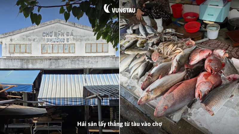 Hải sản lấy thẳng từ tàu vào chợ