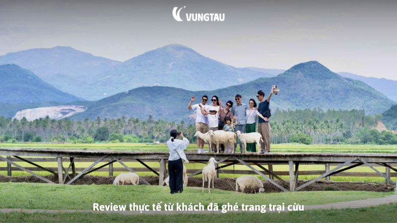 Review thực tế từ khách đã ghé trang trại cừu