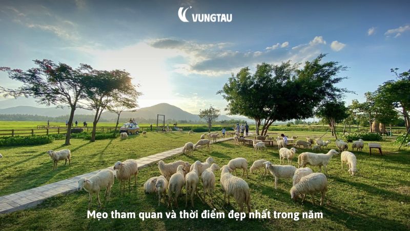 Mẹo tham quan và thời điểm đẹp nhất trong năm