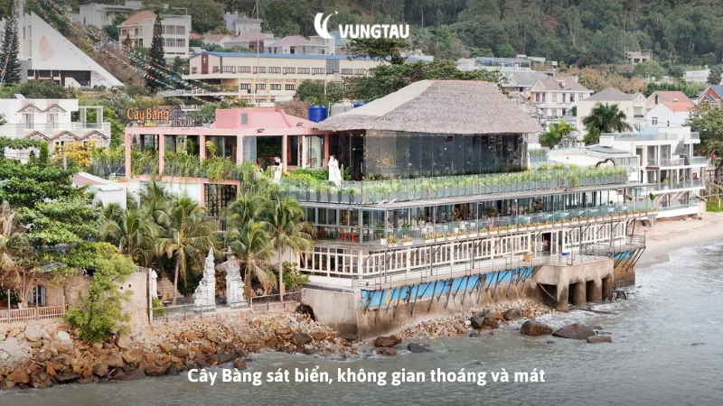 Cây Bàng sát biển, không gian thoáng và mát