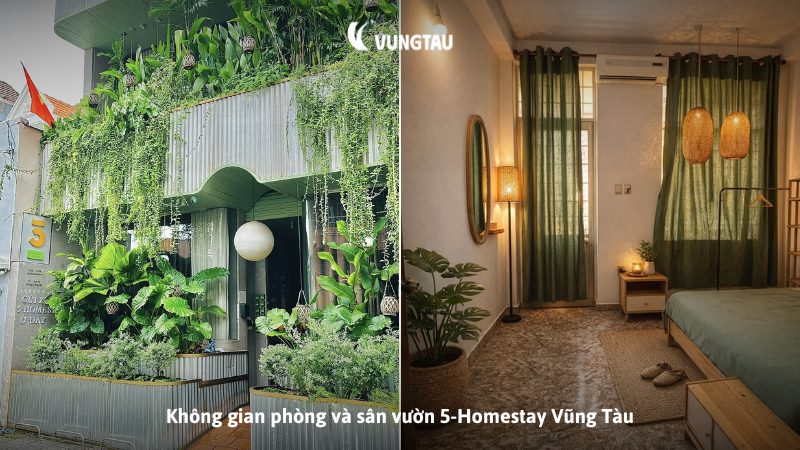 Không gian phòng và sân vườn 5-Homestay Vũng Tàu